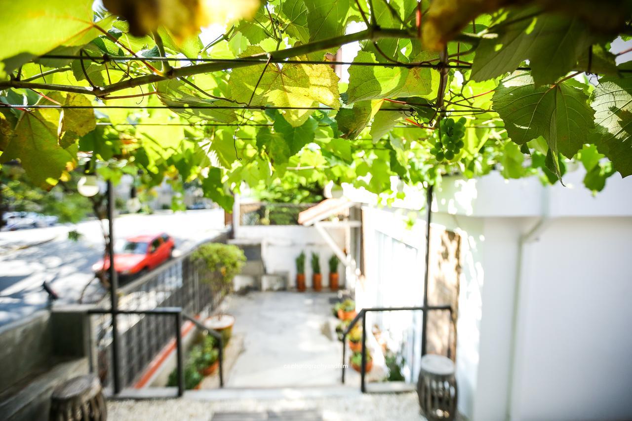 Hostel Grape Wine 상파울루 외부 사진