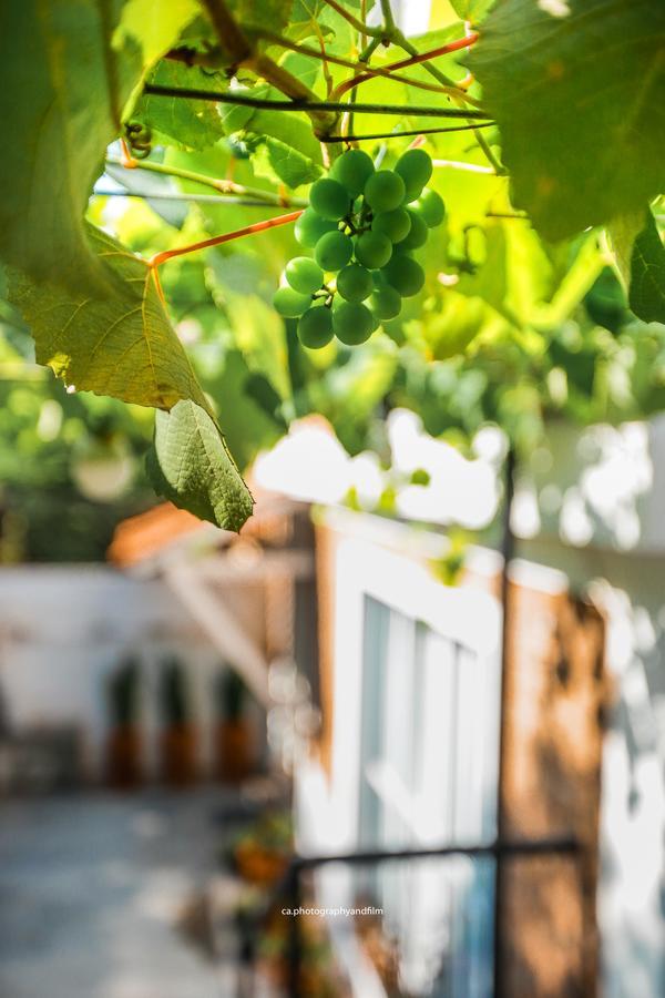 Hostel Grape Wine 상파울루 외부 사진
